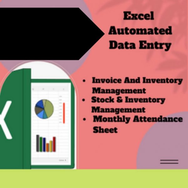 Fully Automated DATA ENTRY EXCEL Templates